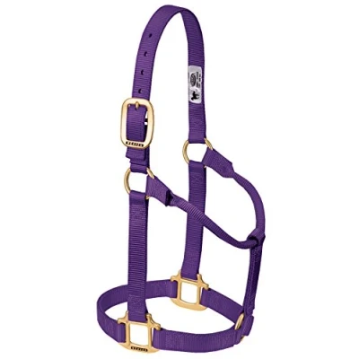 Obrázek Weaver Leather Originální Non Adjustable Nylon Horse držák, velký, fialový