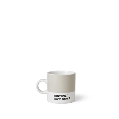 Obrázek PANTONE Espresso cup, small coffee fine china (ceramic), 120 ml, šedý, Warm Gray 2 C