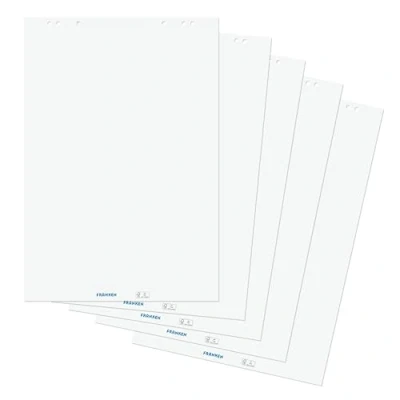 Obrázek FRANKEN Papír Flipchart, bílý, bělený bez chlóru, 80 g/m2, prázdný, 100 listů, F2120