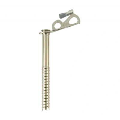 Obrázek Black Diamond Express Ice screw