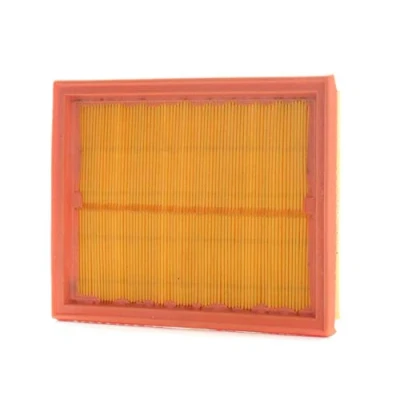 Obrázek PURFLUX Vzduchový filtr A1145, počet 1