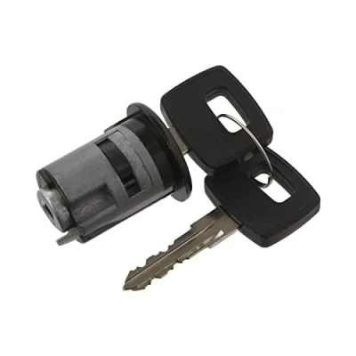 Obrázek febi bilstein 34077 cylindrická vložka zámku pro zámek zapalování, s klíčem, 1 kus