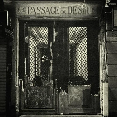 Obrázek Passage Du Desir [Vinyl LP]