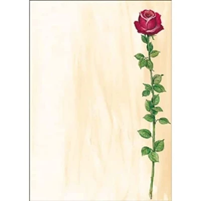 Obrázek SIGEL DP695 papír s motivem &quot;Rose Bloom&quot;, dopisní 90 g, DIN A4, 25 listů, z udržitelného papíru