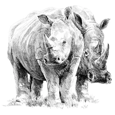 Obrázek Royal &amp; Langnickel Rhino Bastelset A4 zum Skizzieren