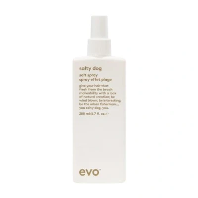 Obrázek EVO Stylingový sprej Salty Dog Salt Spray, Mattes Beach Spray s minerálními solí, objem pro jemné vlasy, posilující péče o 200 ml