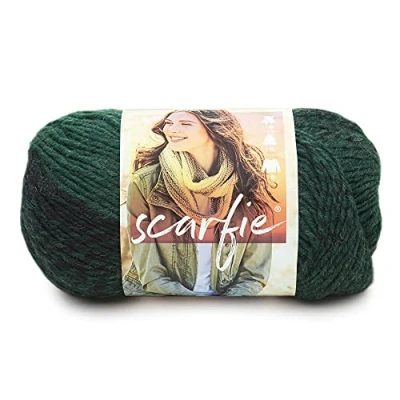 Obrázek Lion Brand Yarn Scarfie pletací příze pro šály One Size Wald/černá