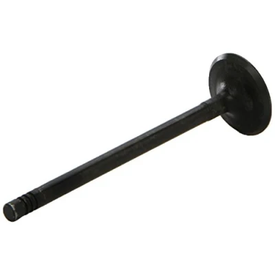 Obrázek Sací ventil AE V95039
