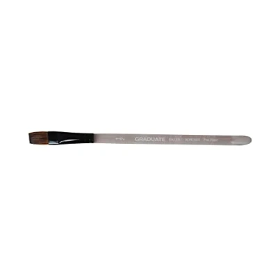 Obrázek Daler Rowney stupňů Uate Acrylic/Oil Brush (Natural/Synthetic Mix) Oválný Wash 1 &quot;