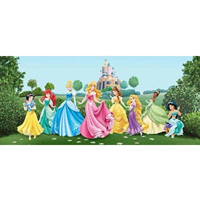 Obrázek Fototapeta FTDNH5325 Fotografy Omurals Disney Princess Princezna