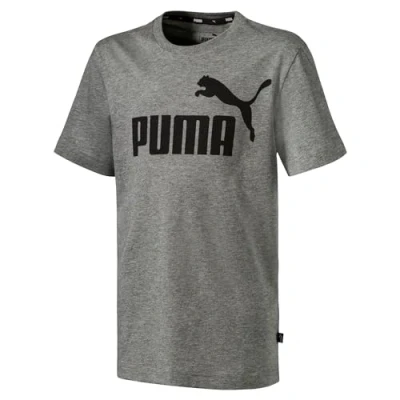 Obrázek PUMA Chlapecké tričko ESS Logo Tee B