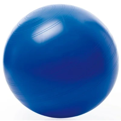 Obrázek TOGU Gymnastický míč sedací ABS (ochrana proti vytrhání), 45 cm, modrý