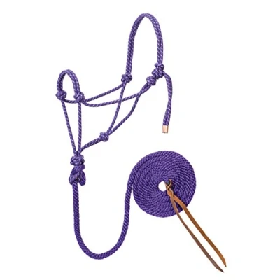 Obrázek Weaver Leather Diamond Braid Rope ohlávka a vodítko fialová/mátová/bílá, průměr