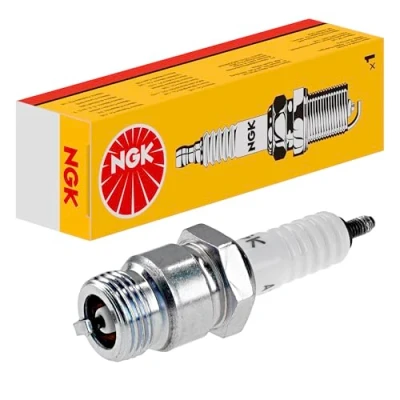 Obrázek Zapalovací svíčka NGK 2976
