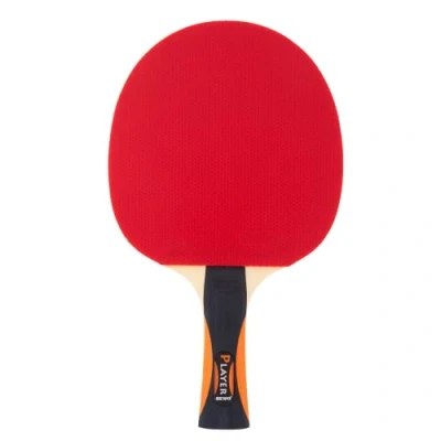 Obrázek GEWO pálka na stolní tenis Player ITTF schválená vysoká kontrola a maximální rotační vlastnosti profesionální pro útočníky, 2mm obložení