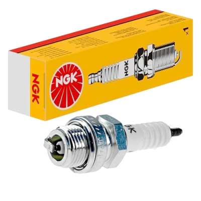 Obrázek Zapalovací svíčka NGK 3020