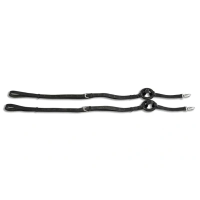Obrázek Waldhausen Lunging Aid