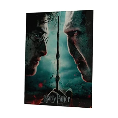 Obrázek SD toys Poster Harry Potter und Voldemort, mehrfarbig, 41 x 31 3 cm