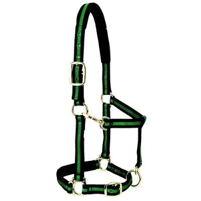 Obrázek Weaver Leather Basic Halfter z nylonu, nastavitelný, 2,5 cm, fialový