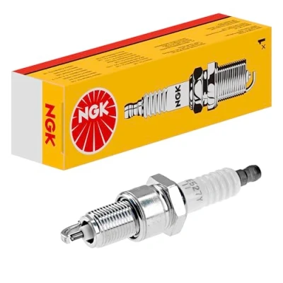 Obrázek NGK 6029 zapalovací svíčka