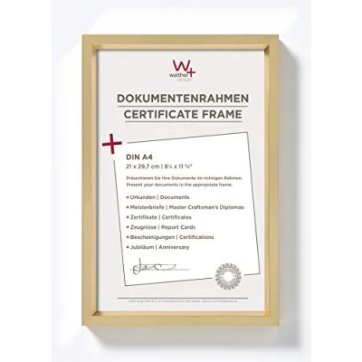 Obrázek walther design Rámeček zlatý 21 x 29,7 cm (DIN A4) s paspartou, ocelový plastový rám ES130G