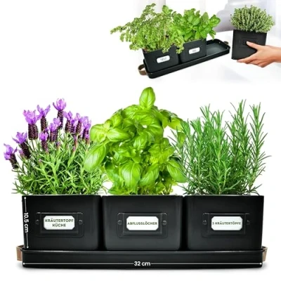 Obrázek Green Thumbz 3 ks. květináč na bylinky Květináče pro Vaši bylinkovou zahrádku a okenní parapet Vnitřní dekorace Bazalka s koženými rukojeťmi &amp; podložka