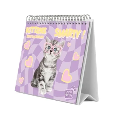 Obrázek Grupo Erik Kalender 2025 Tischkalender Studio Pets Cat Katzen Familienplaner zum Aufstellen 20 x 17 cm Jahreskalender 2025, Rosa