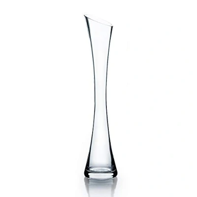 Obrázek WGV Bud Vase, Höhe 40,6 x 36,8 cm, schräg Geschnittener offener Schnitt, 7,6 klare Maria Glasvase, Blumen Behälter für Hochzeit, Party, Event, Home Office Decor, 1 Stück