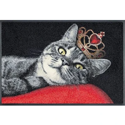 Obrázek wash+dry Rohožka, Royal Cat 50 x 75 cm, uvnitř a venku, pratelná
