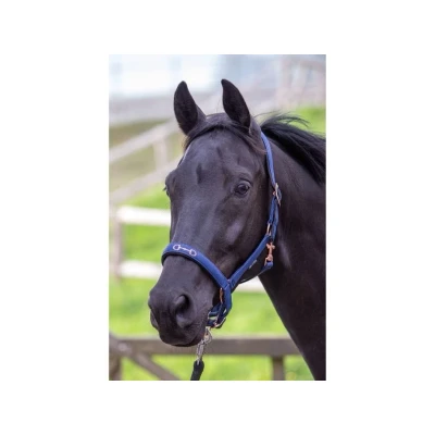 Obrázek Harry&#039;s Horse Halter Bit
