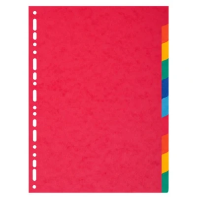 Obrázek Exacompta 1410E prémiový registr pro DIN A4 ze silného kartonu Colorspan, 10dílný, plná výška 22 x 29,7 cm, plnobarevný 2 5 barev s indexovou stranou vlastní tvorbu dělicích listů dělicí proužky