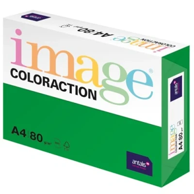 Obrázek Image Coloraction Dublin barevný papír do kopírky DIN A4, 210 x 297 mm, 80 g/m² barevný, bezdřevý tiskárny 500 listů tmavě zelený