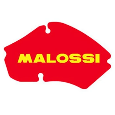 Obrázek Vložka vzduchového filtru MALOSSI Red Sponge pro Piaggio zip