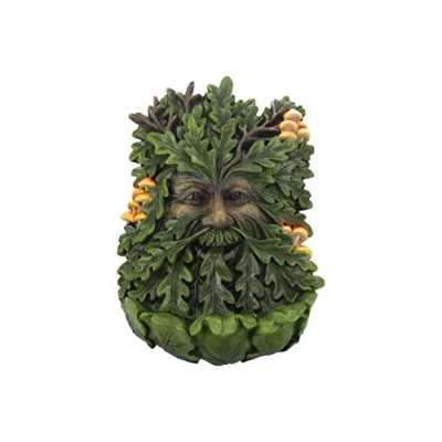 Obrázek Nemesis Now D4267M8 Wandschild aus Holunderholz, 19 cm, grün, Polyresin, 23,8 cm