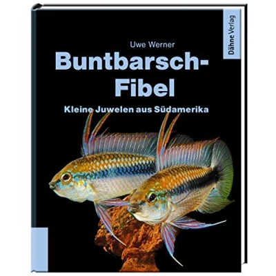 Obrázek Buntbarsch Fibel Südamerika: Kleine Juwelen aus Südamerika