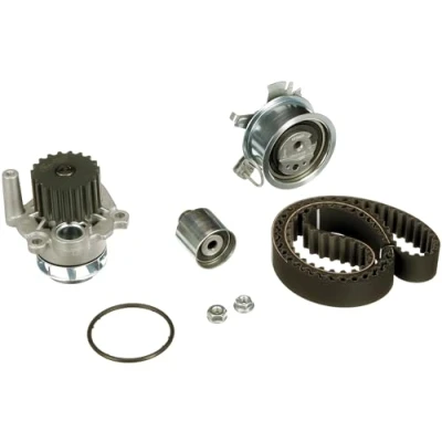 Obrázek GATES PowerGrip Kit + vodní čerpadlo KP55569XS 2