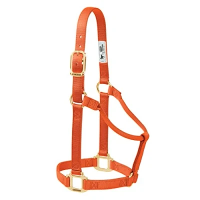 Obrázek Weaver Leather Original Non Adjustable Nylon Horse držák, velký, oranžový