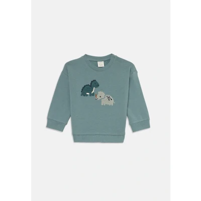 Obrázek Lindex DINO Placement Mikina pro děti, Velikost: 98, Dusty aqua
