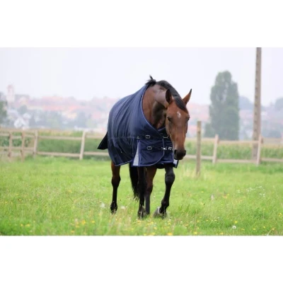 Obrázek Equithème PRO series &#039;Tyrex 168D&#039; Turnout Rug 220g