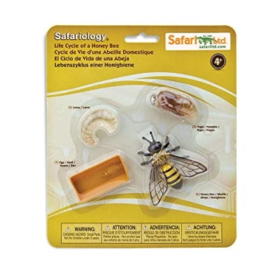 Obrázek Safari Ltd Životní cyklus včely 622716