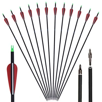 Obrázek Huntingdoor Balení 12 ks karbonových šípů 30&quot;, lovecké šípy s dodávkami a otočnými vačkami, 550 spine pro lukostřelbu recurve, kombinovaný luk, dlouhý oblouk, terč venku (červená)