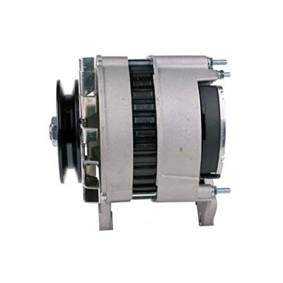 Obrázek HELLA 8EL 012 427 401 generátor/alternátor 14V 65A pro mj. Rover 800 (XS)