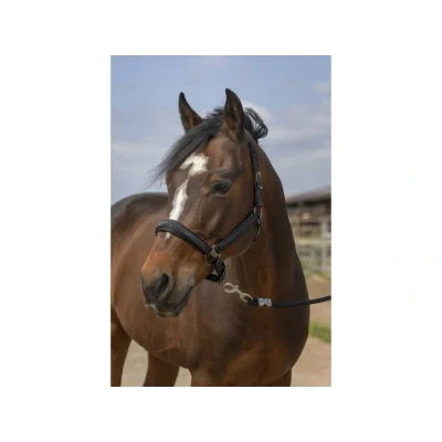 Obrázek Equithème Nylon Rhinestone Halter