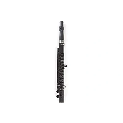 Obrázek Nuvo Student Flute Černá Pro Stříbrná, Náladu C