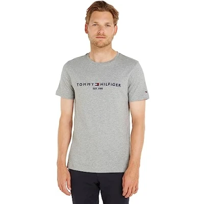 Obrázek Tommy Hilfiger LOGO TEE Triko s potiskem, Muži, Velikost: XS, Grey