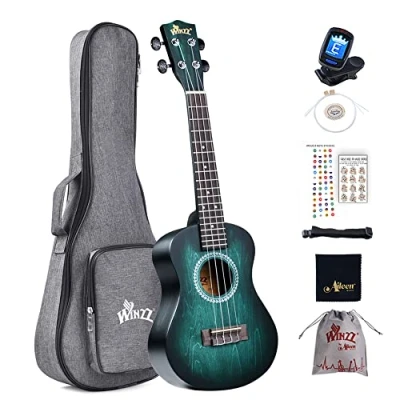 Obrázek Winzz 23&quot; ukulele koncert, sada pro začátečníky, děti, dospělé, jedinečný barevný design, s kapsou, ladičkou, přídavnými strunami, popruhem, nálepkou na noty (modro zelená)
