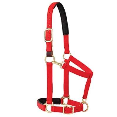 Obrázek Weaver Leather Padded Breakaway Adjustable Chin &amp; Throat Snap Halter, 1&quot; Average Horse or Yearling Draft, červená