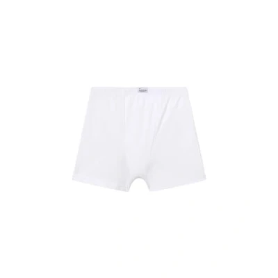 Obrázek abanderado Jungen Junior Algodón Elástico Boxershorts, Weiß (Blanco 001), Jahre (Herstellergröße: 12)
