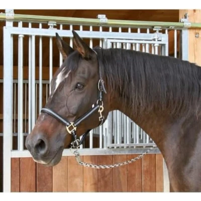 Obrázek Kerbl Halfter Mustang, 3, černá/stříbrná