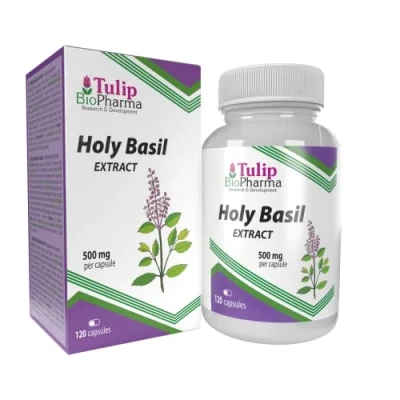 Obrázek Tulsi svatá bazalka 5000 mg (500 extraktu 10:1) 120 kapslí, laboratorně testováno, gluten a GMO fri